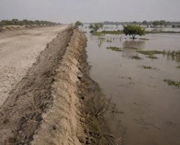 Climate Adaptation vs Mitigation