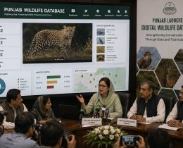 Punjab Launches Digital Wildlife Database to Strengthen Conservation