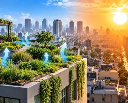 Green Roofs Could Help Cities Fight Deadly Heat, Research Shows