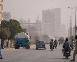 From Conservation to Climate: How Environmental Thinking Changed