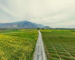 How Does Agriculture Affect Climate Change? The Hidden Climate Cost of Feeding the World