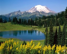 How Climate Change Affects Ecosystems: When Nature Falls Out of Sync