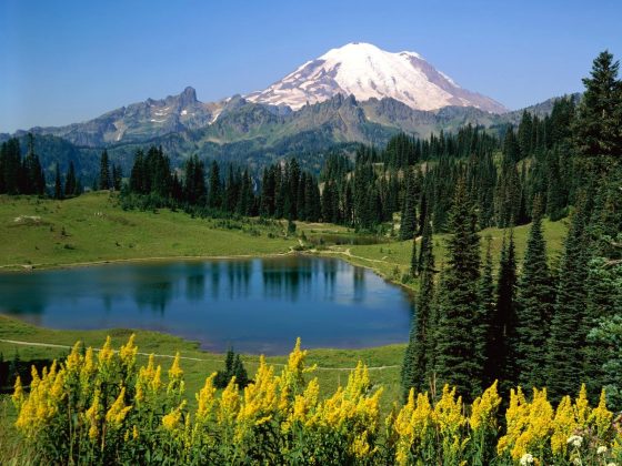 How Climate Change Affects Ecosystems: When Nature Falls Out of Sync
