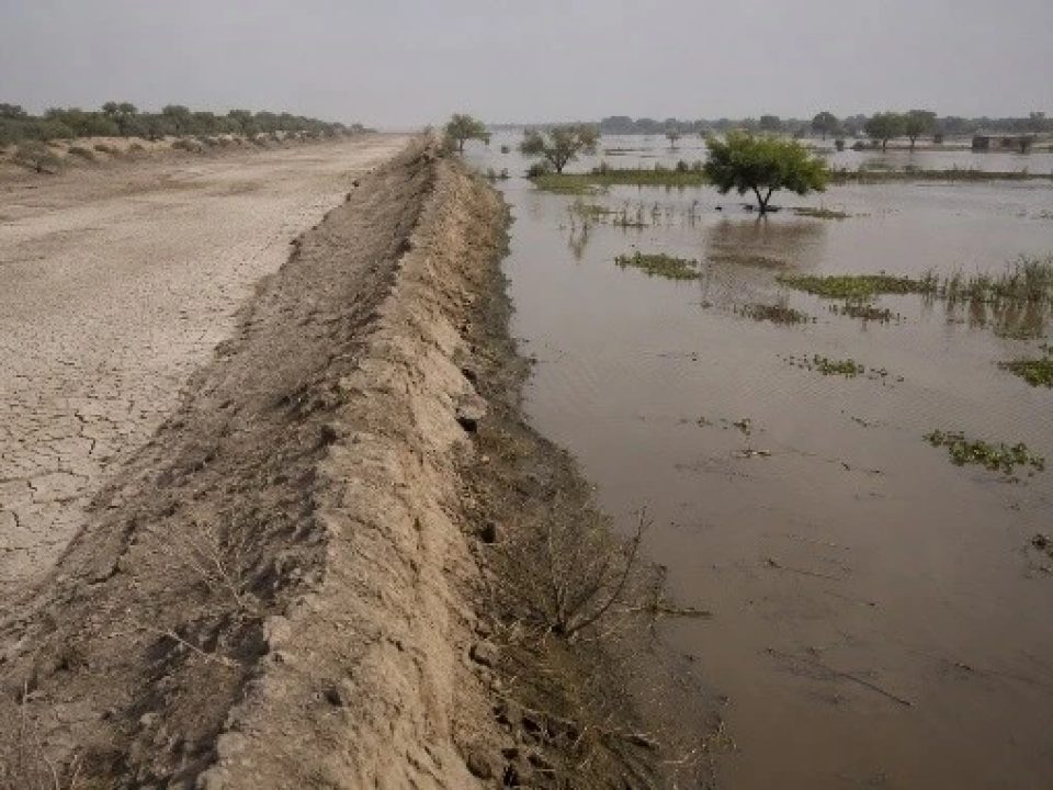 Climate Adaptation vs Mitigation