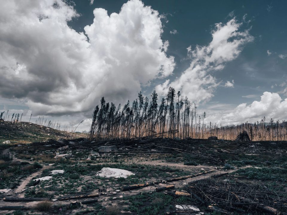 The Age of Adaptation Has Arrived