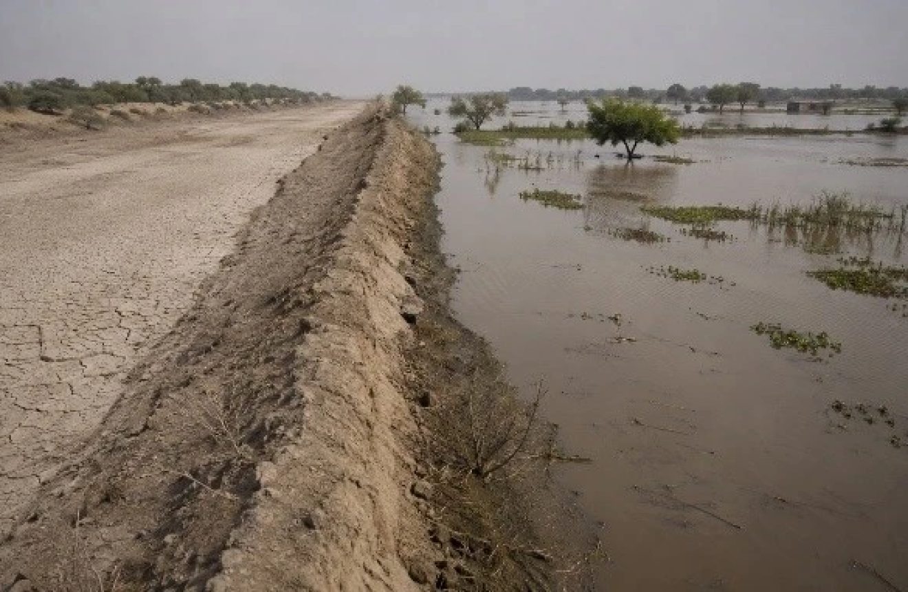 Climate Adaptation vs Mitigation