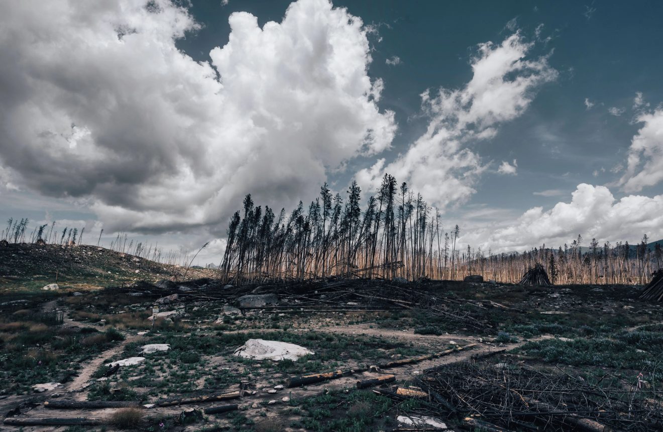 The Age of Adaptation Has Arrived