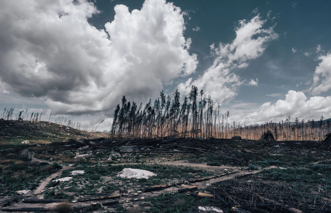 The Age of Adaptation Has Arrived