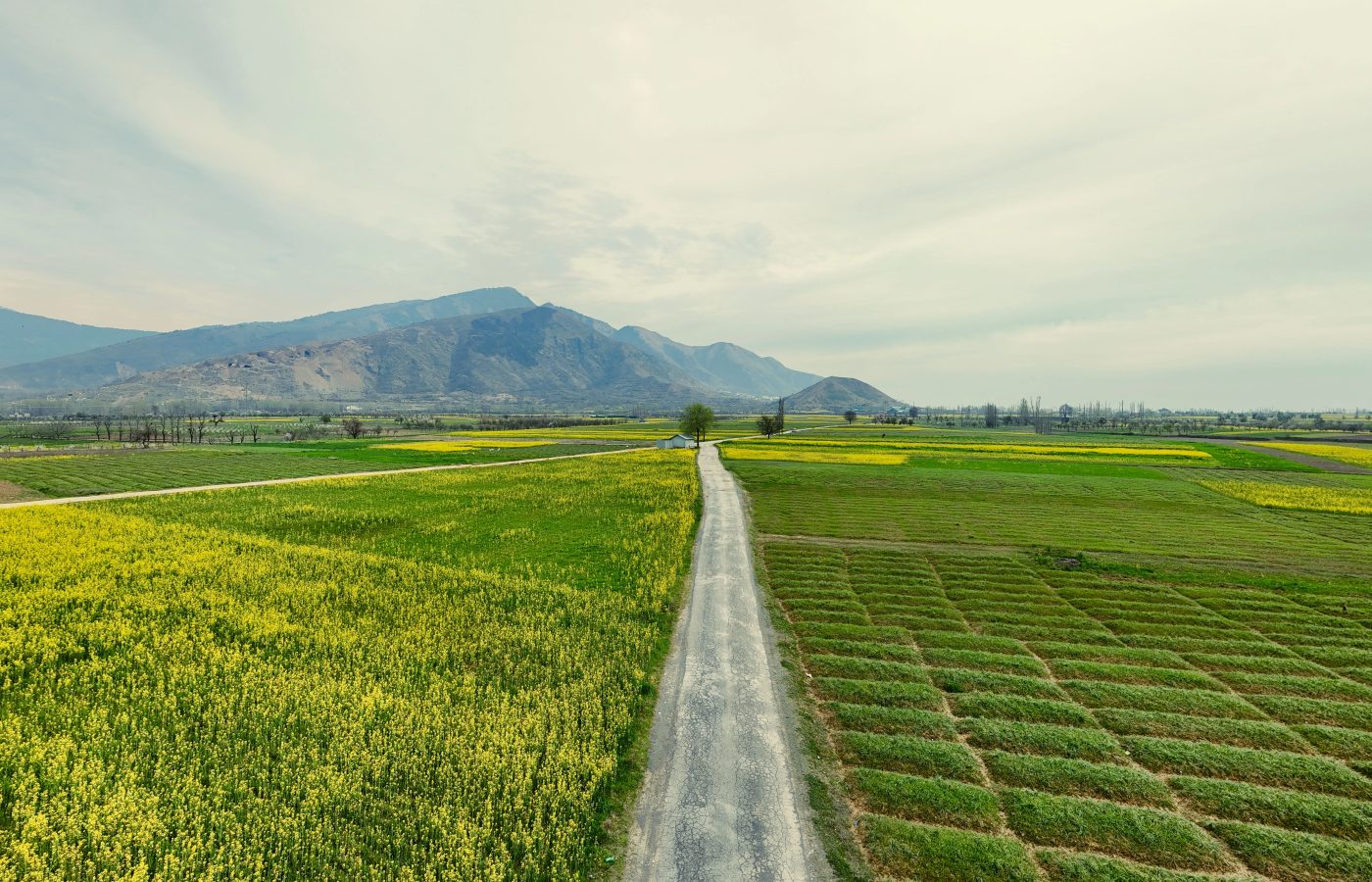 How Does Agriculture Affect Climate Change? The Hidden Climate Cost of Feeding the World