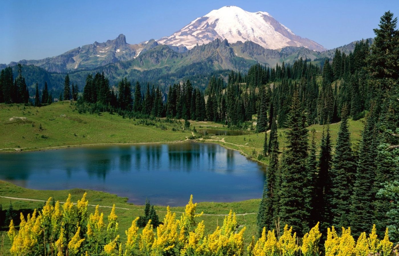 How Climate Change Affects Ecosystems: When Nature Falls Out of Sync