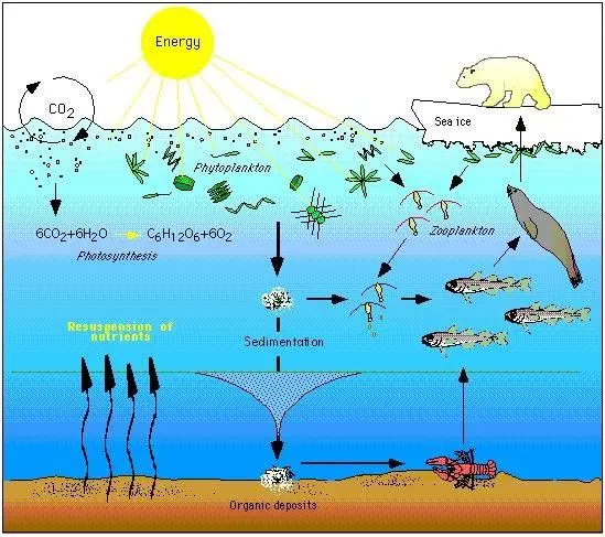 How climate change affects ecosystems through warming and changing habitats
